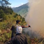 Kebakaran Gunung Bromo Meluas hingga 70 Hektare, Api Merembet ke Arah Malang.