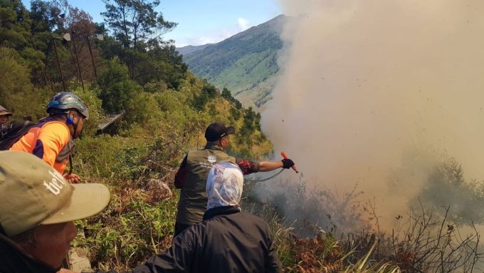 Kebakaran Gunung Bromo Meluas hingga 70 Hektare, Api Merembet ke Arah Malang.